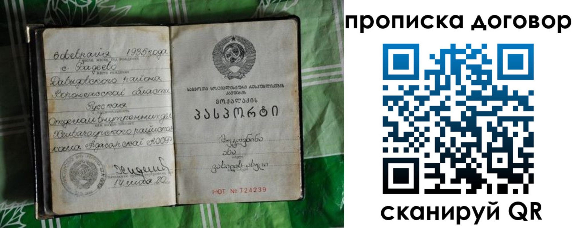 прописка в Щёкино